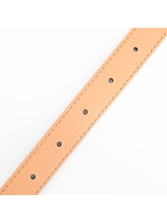 Louis Vuitton Belt LV Iconic 20 Reversible main image 5